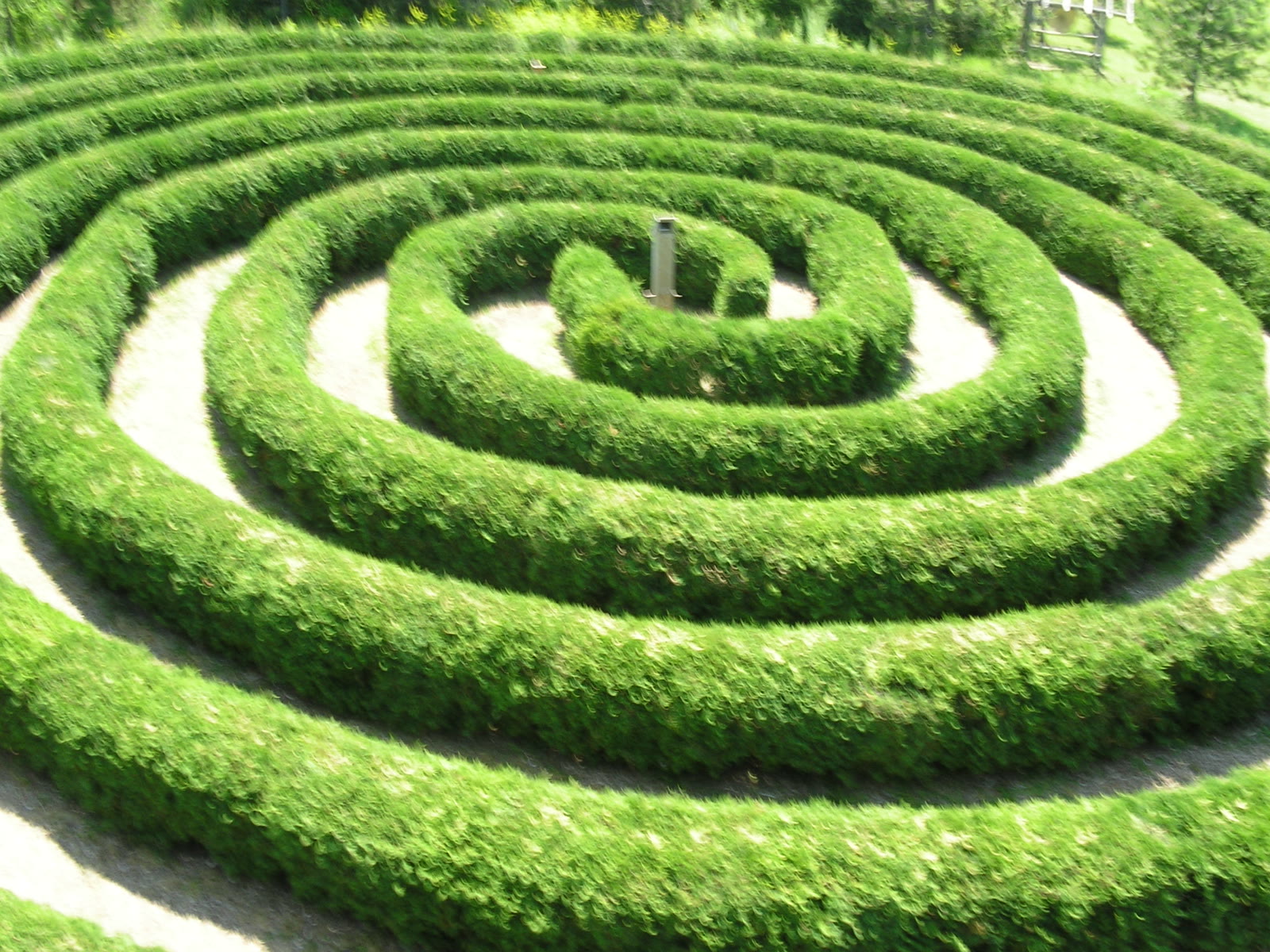The hedge maze on the grounds at Saunders Farm, Munster